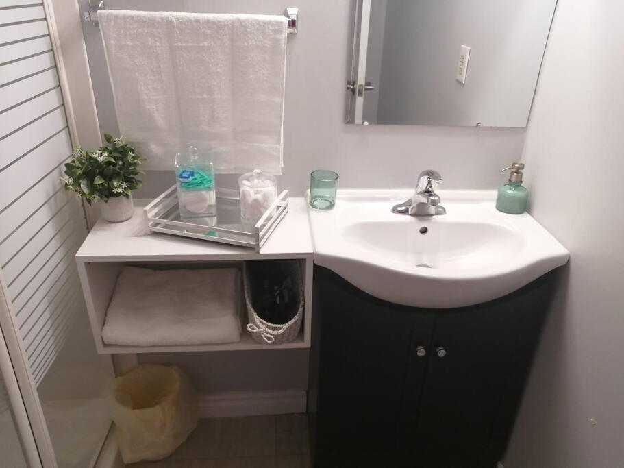 Cozy Nest Basement Unit Appartement Hamilton Buitenkant foto